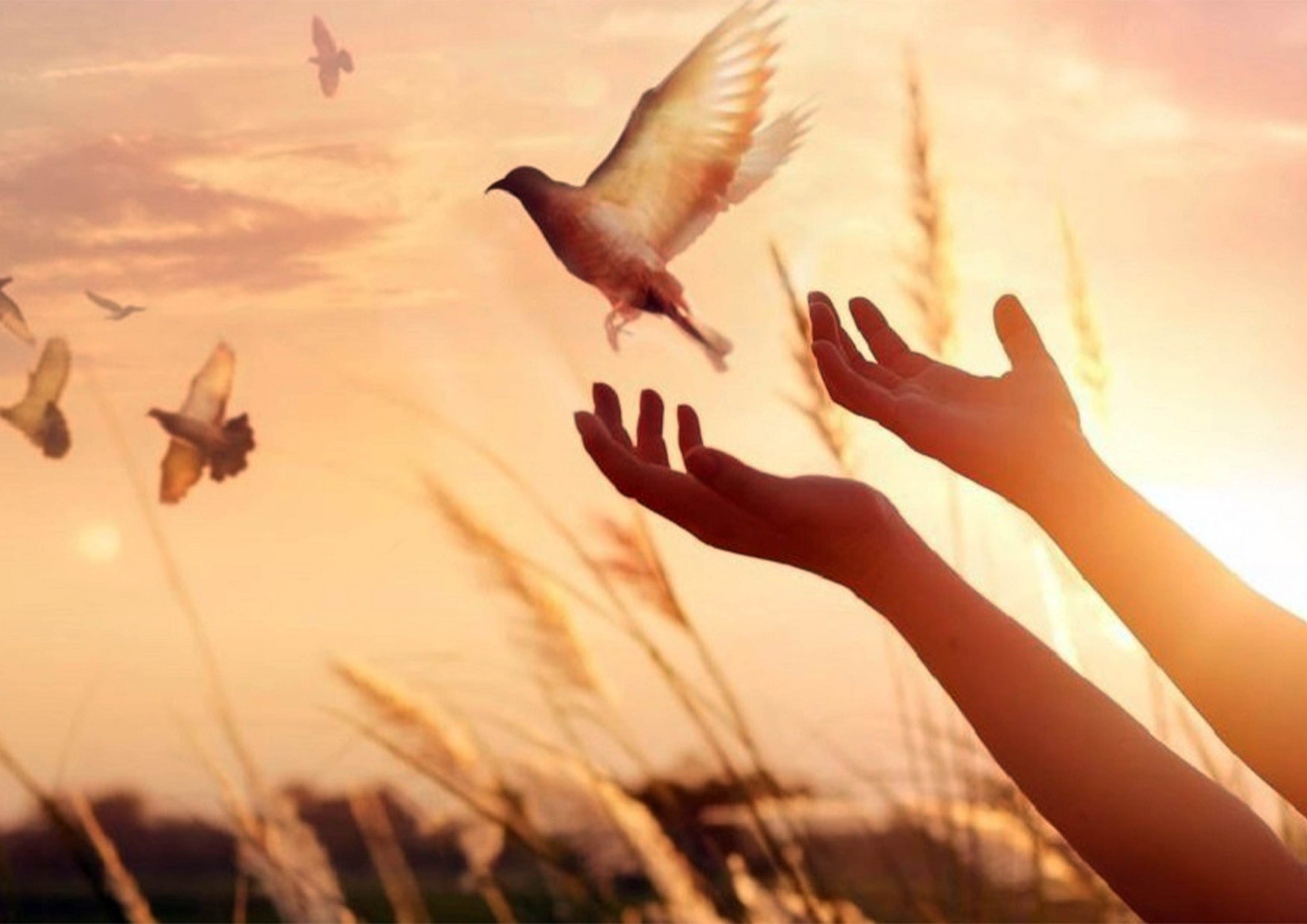 محبت راز معنویت